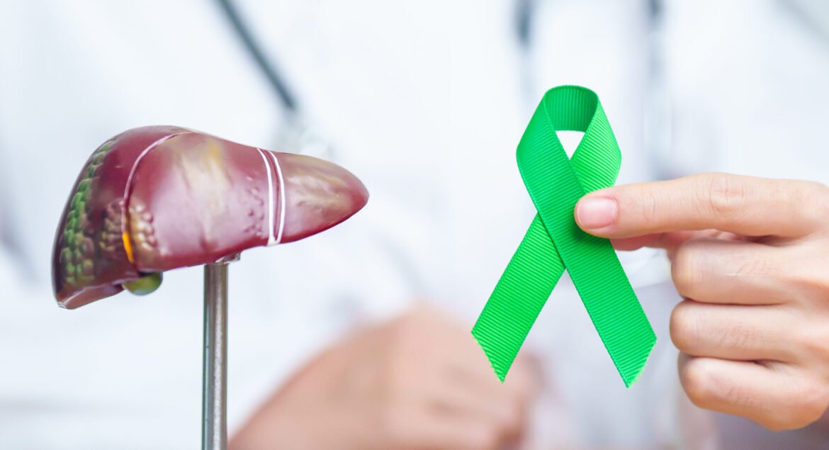 Doctor with green ribbon and human Liver anatomy model. Liver cancer October awareness month, Tumor, Jaundice, Virus Hepatitis, Cirrhosis, Failure, Enlarged, Hepatic Encephalopathy, and health concept