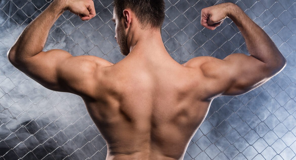 Beautiful, strong man on fence background
