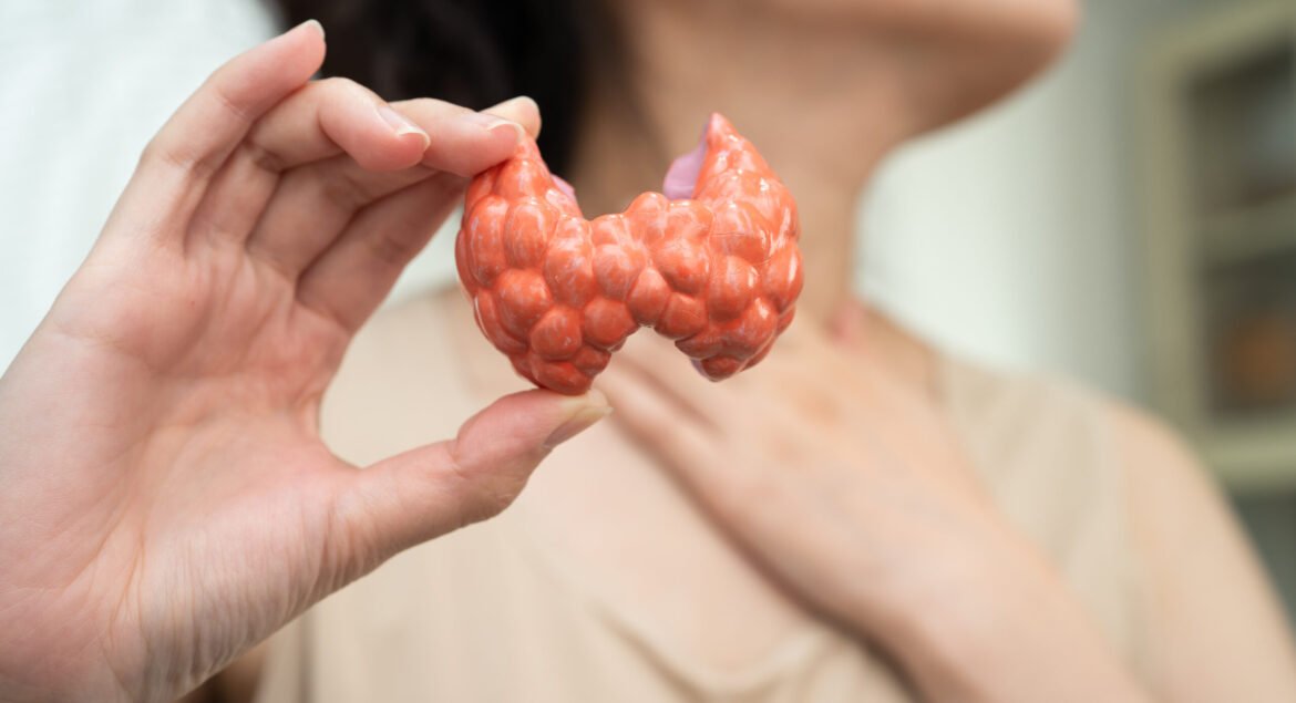 Hyperthyroidism, Overactive Thyroid, Thyroid Lymphoma, Asian woman with thyroid gland human anatomy model.