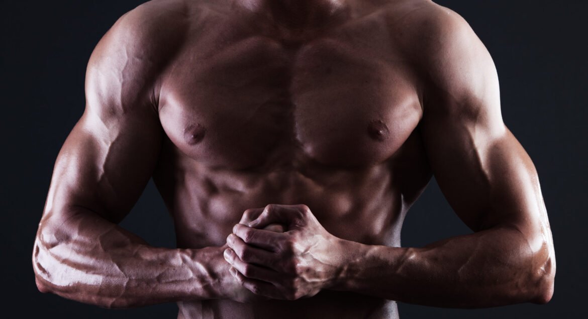 Muscular male torso with lights showing muscle detail isolated
